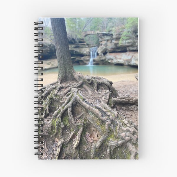 Item preview, Roots designed and sold by Treeginas.