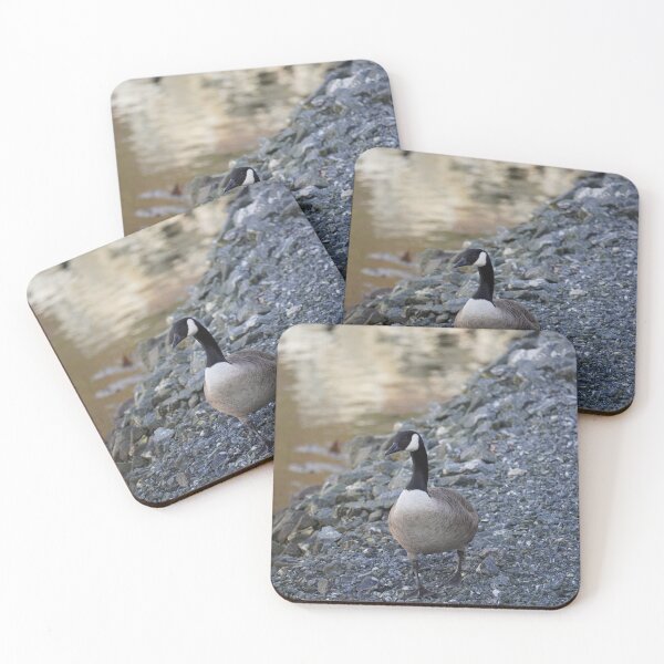 Item preview, Branta canadensis designed and sold by Norwegian Outdoors.