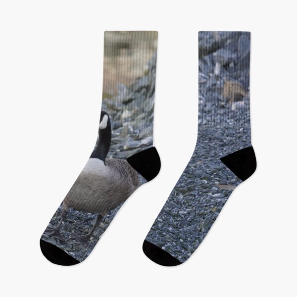 Item preview, Branta canadensis designed and sold by Norwegian Outdoors.