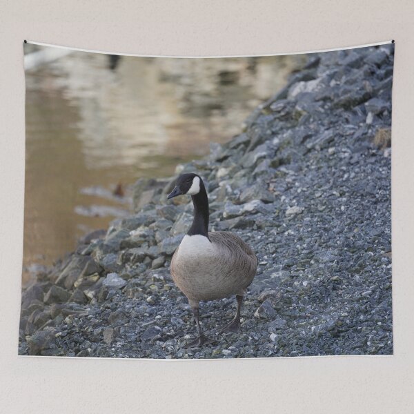 Item preview, Branta canadensis designed and sold by Norwegian Outdoors.