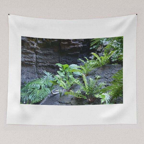 Item preview, Green ferns growing on lava designed and sold by Hilbert72.