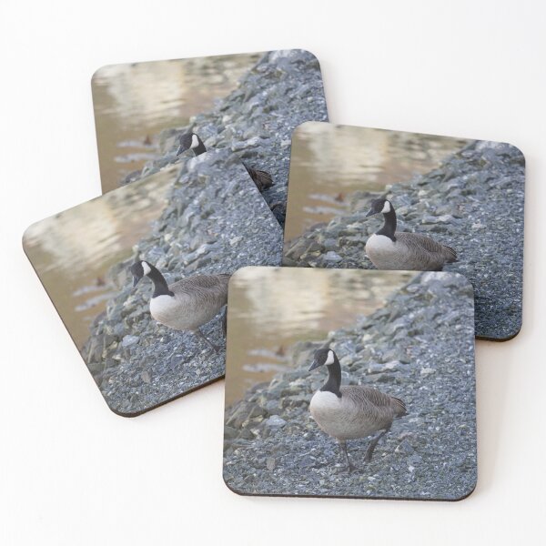 Item preview, Branta canadensis designed and sold by Norwegian Outdoors.