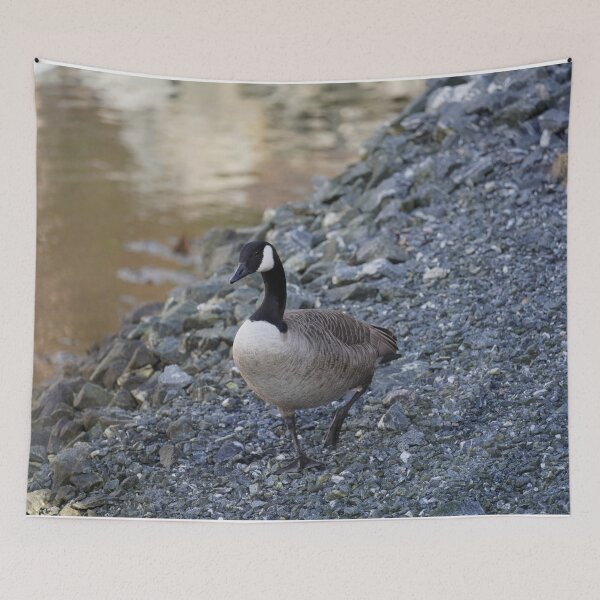 Item preview, Branta canadensis designed and sold by Norwegian Outdoors.
