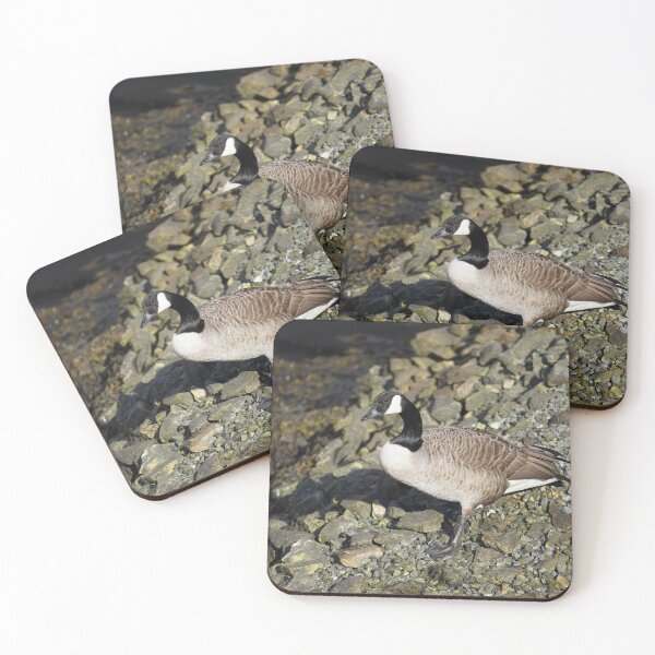 Item preview, Branta canadensis designed and sold by Norwegian Outdoors.