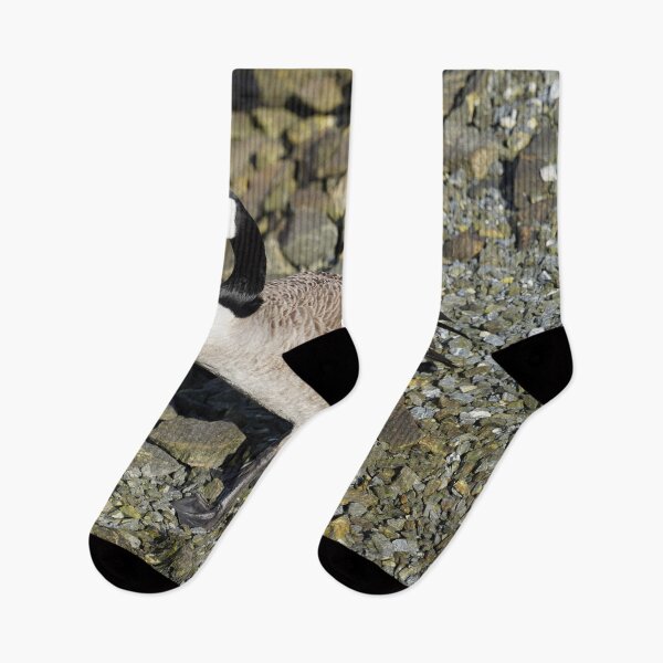 Item preview, Branta canadensis designed and sold by Norwegian Outdoors.