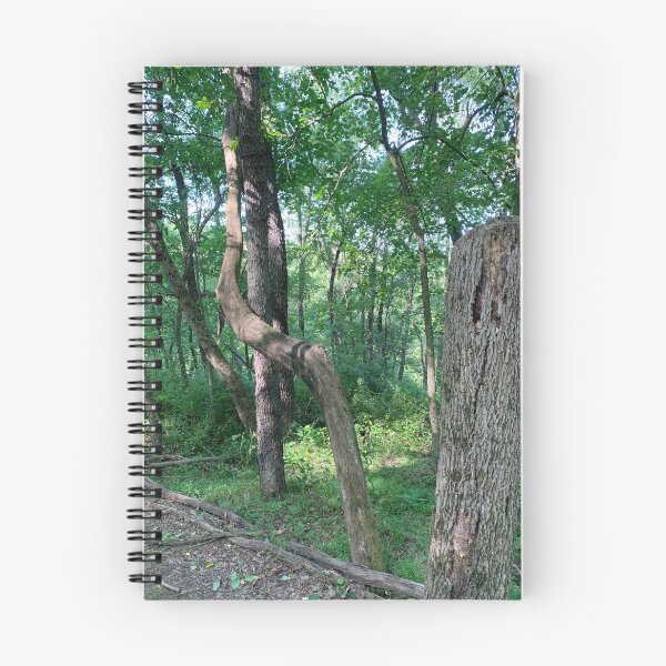 Aperçu de l'œuvre Arbre tordu dans la forêt créée et vendue par TabethaMorgan.