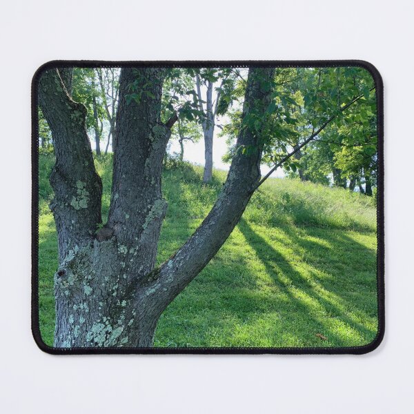 Item preview, Perspective of Trees designed and sold by TabethaMorgan.