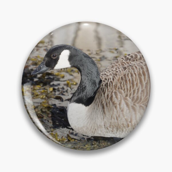 Item preview, Branta canadensis designed and sold by Norwegian Outdoors.
