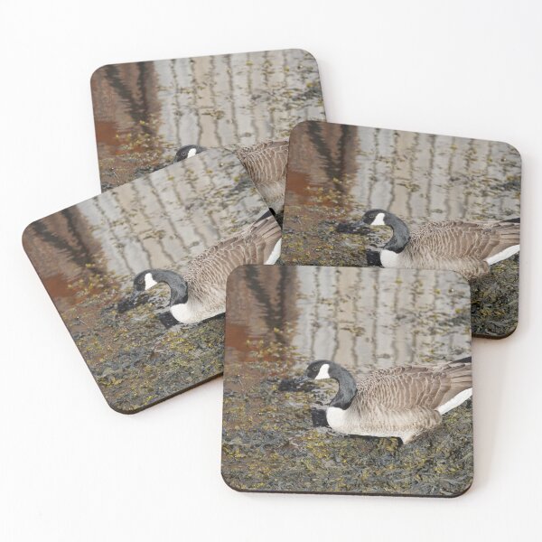 Item preview, Branta canadensis designed and sold by Norwegian Outdoors.