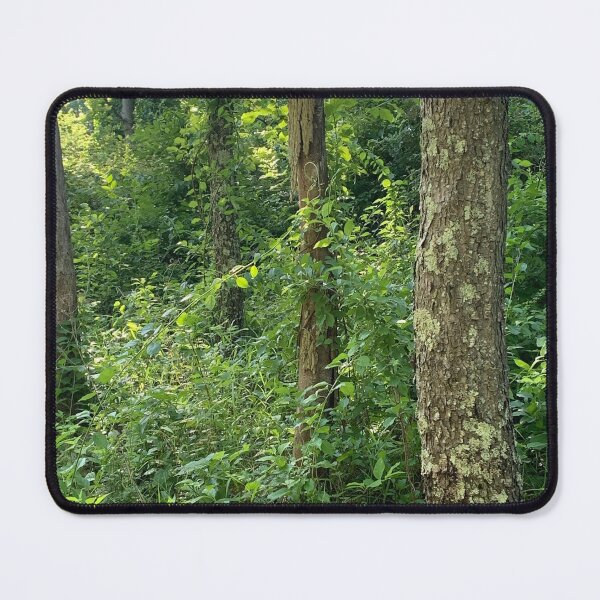 Item preview, Moss on Tree designed and sold by TabethaMorgan.