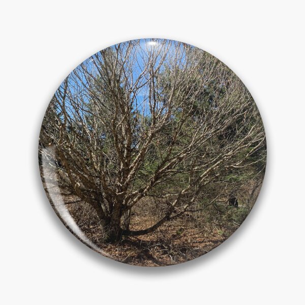 Item preview, Bare Tree designed and sold by TabethaMorgan.