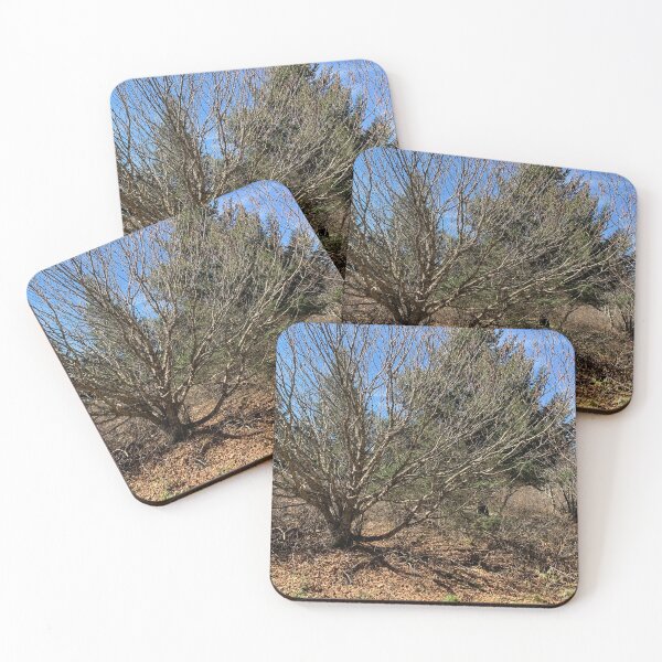 Item preview, Bare Tree designed and sold by TabethaMorgan.