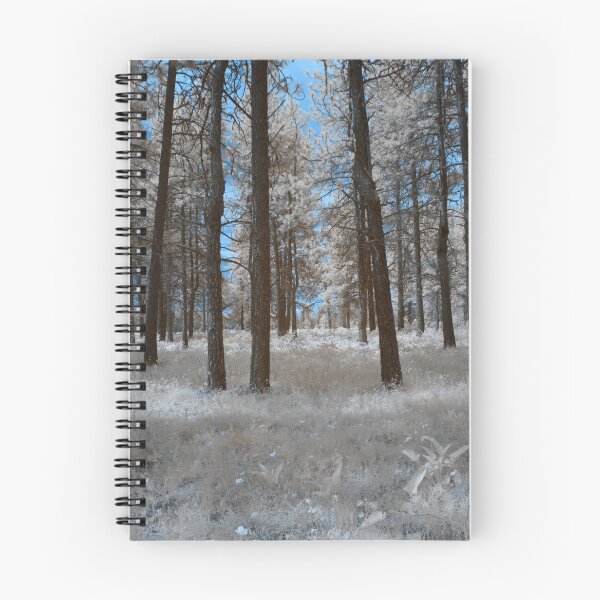 Item preview, Prairie and tree trunks designed and sold by Cblifeisgood.
