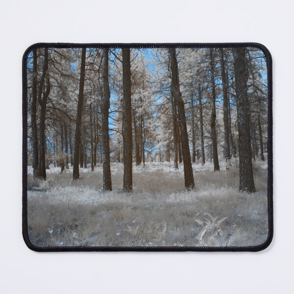 Item preview, Prairie and tree trunks designed and sold by Cblifeisgood.