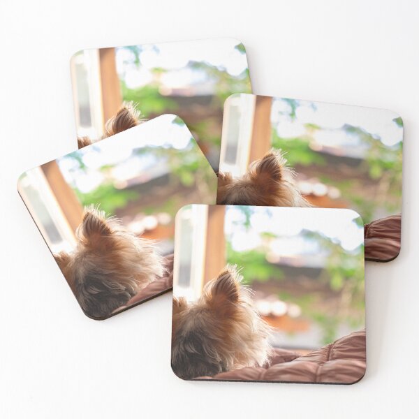 Item preview, dog Turist Park Samokov bulgaria designed and sold by oleg gendel.
