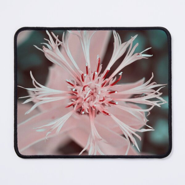 Item preview, Cornflower in infrared designed and sold by Cblifeisgood.
