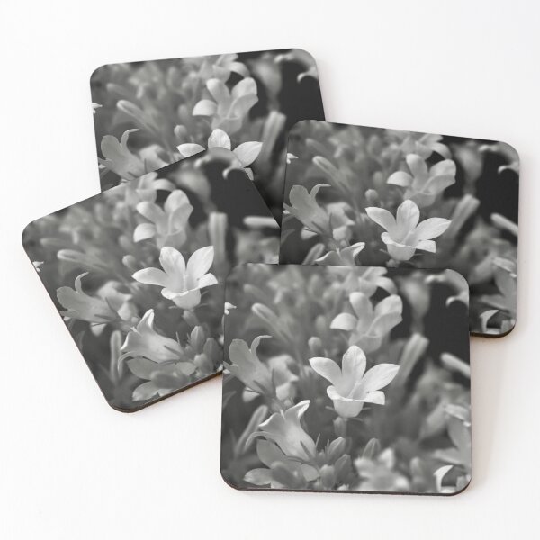 Artikelvorschau, Monochrome flowers entworfen und verkauft von Cblifeisgood.