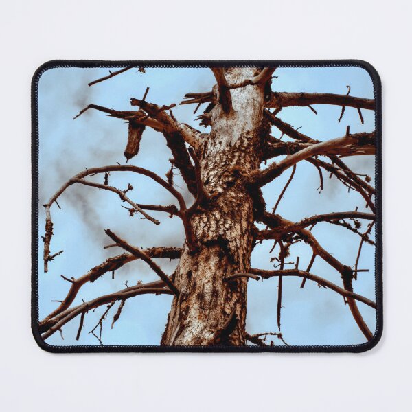 Item preview, Spooky tree in infrared designed and sold by Cblifeisgood.