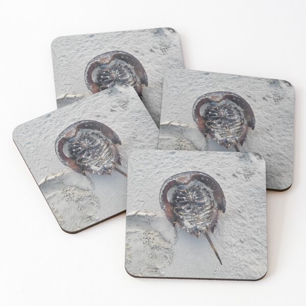 Item preview, horseshoe crab designed and sold by gratogratto.