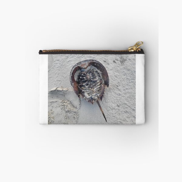 Item preview, horseshoe crab designed and sold by gratogratto.