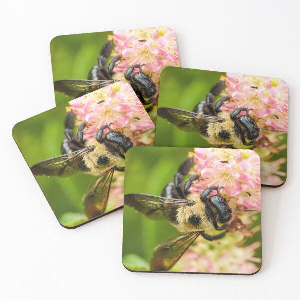 Item preview, Lunchtime Buzz designed and sold by migrainewar7.