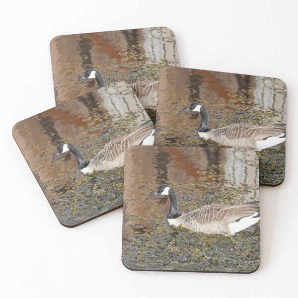 Item preview, Branta canadensis designed and sold by Norwegian Outdoors.