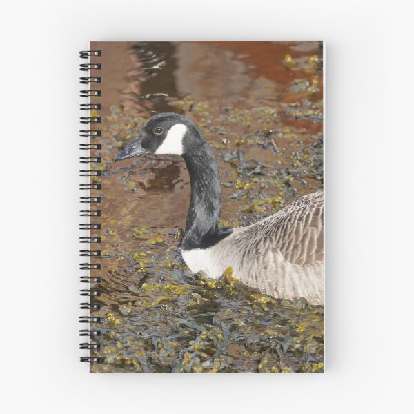 Item preview, Branta canadensis designed and sold by Norwegian Outdoors.