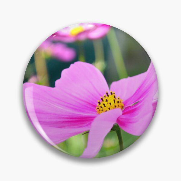 Item preview, Cosmos Beauty designed and sold by FancifulsBySue.