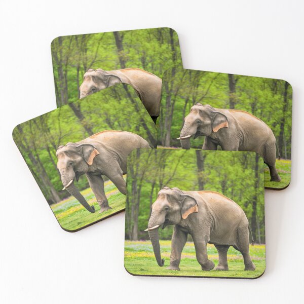 Item preview, Elephant Portrait. Elephant photo, vibrant elephant, vintage elephant, spring season designed and sold by ElephantVibes.