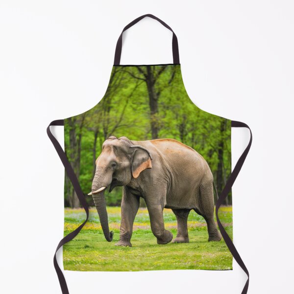 Item preview, Elephant Portrait. Elephant photo, vibrant elephant, vintage elephant, spring season designed and sold by ElephantVibes.