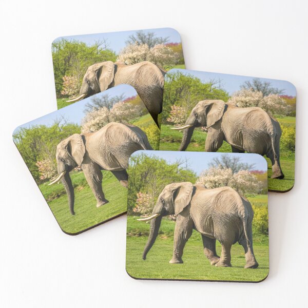 Item preview, Elephant Portrait. Elephant photo, vibrant elephant, vintage elephant, spring season designed and sold by ElephantVibes.