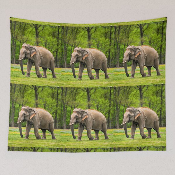Item preview, Elephant Portrait. Elephant photo, vibrant elephant, vintage elephant, spring season designed and sold by ElephantVibes.