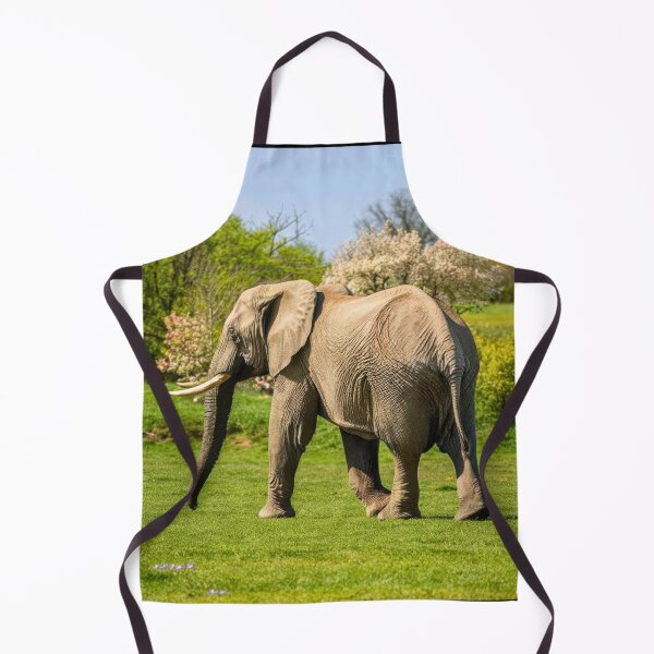 Item preview, Elephant Portrait. Elephant photo, vibrant elephant, vintage elephant, spring season designed and sold by ElephantVibes.