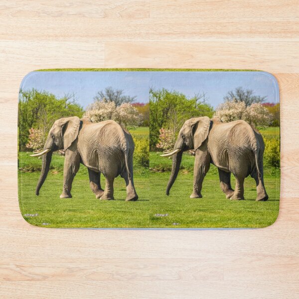 Item preview, Elephant Portrait. Elephant photo, vibrant elephant, vintage elephant, spring season designed and sold by ElephantVibes.