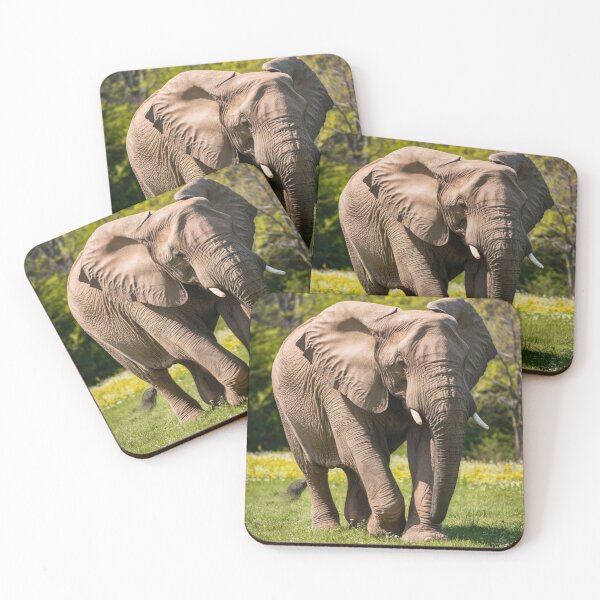 Item preview, Elephant Portrait. Elephant photo, vibrant elephant, vintage elephant, spring season designed and sold by ElephantVibes.