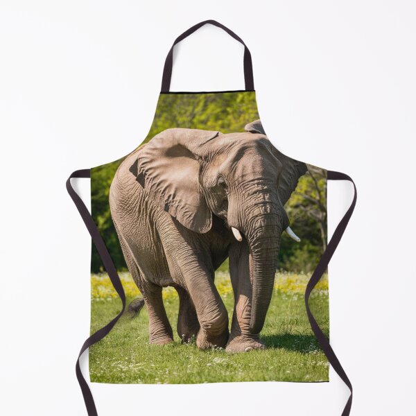 Item preview, Elephant Portrait. Elephant photo, vibrant elephant, vintage elephant, spring season designed and sold by ElephantVibes.