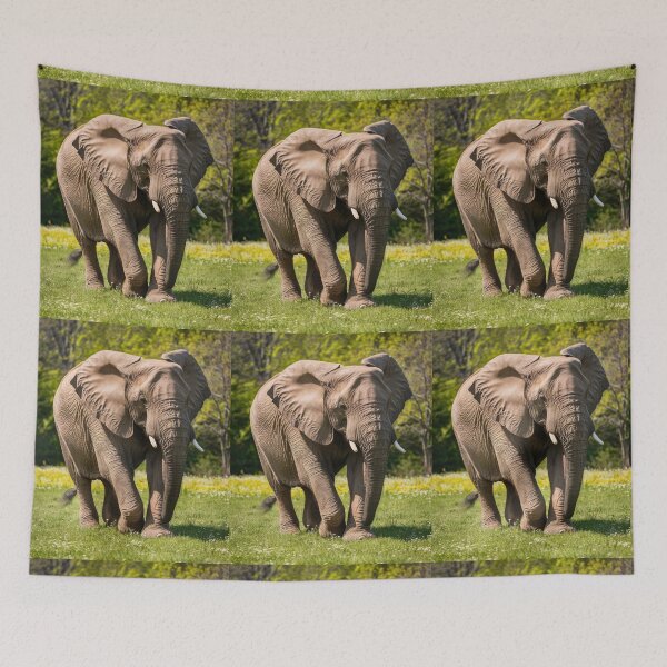 Item preview, Elephant Portrait. Elephant photo, vibrant elephant, vintage elephant, spring season designed and sold by ElephantVibes.