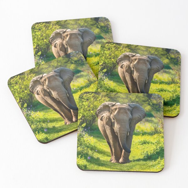 Item preview, Elephant Portrait. Elephant photo, vibrant elephant, vintage elephant, spring season designed and sold by ElephantVibes.