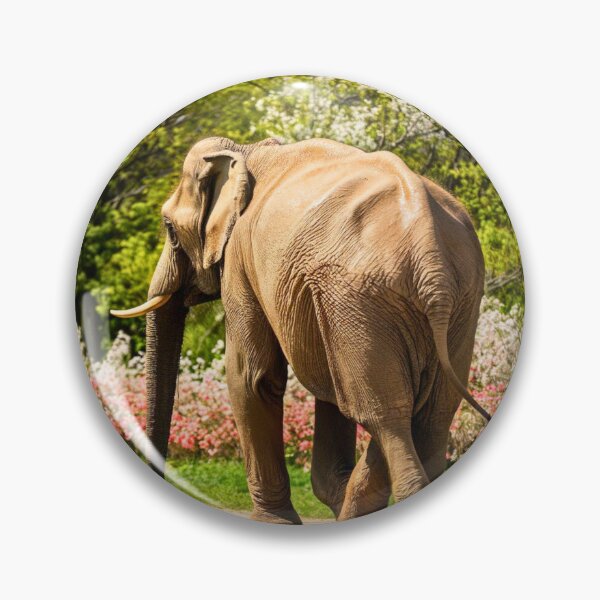 Item preview, Elephant Portrait. Elephant photo, vibrant elephant, vintage elephant, spring season designed and sold by ElephantVibes.