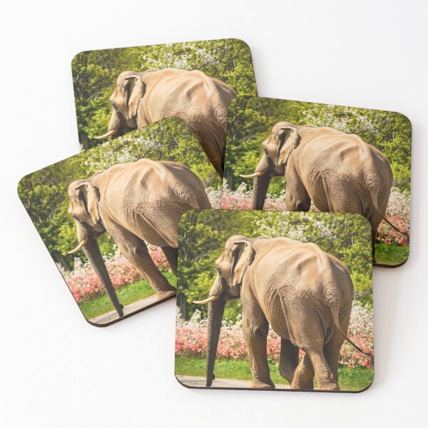 Item preview, Elephant Portrait. Elephant photo, vibrant elephant, vintage elephant, spring season designed and sold by ElephantVibes.