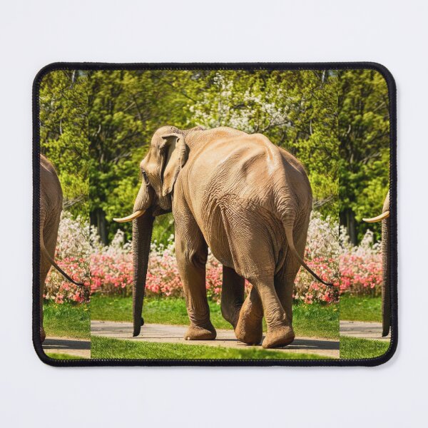 Item preview, Elephant Portrait. Elephant photo, vibrant elephant, vintage elephant, spring season designed and sold by ElephantVibes.