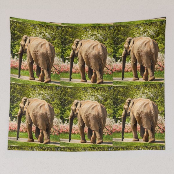 Item preview, Elephant Portrait. Elephant photo, vibrant elephant, vintage elephant, spring season designed and sold by ElephantVibes.