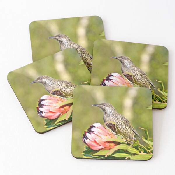 Item preview, Australian Native Little Wattlebird Honeyeater designed and sold by FancifulsBySue.