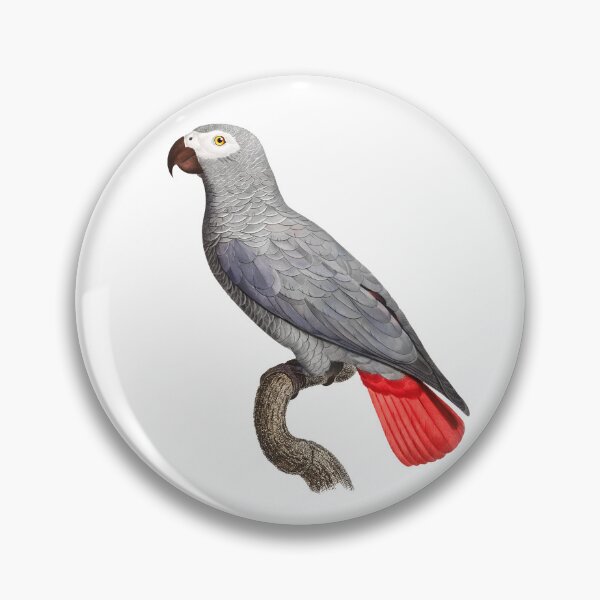 Item preview, Grey Parrot designed and sold by Swags.