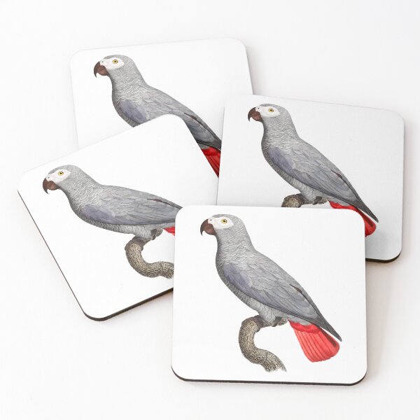Item preview, Grey Parrot designed and sold by Swags.