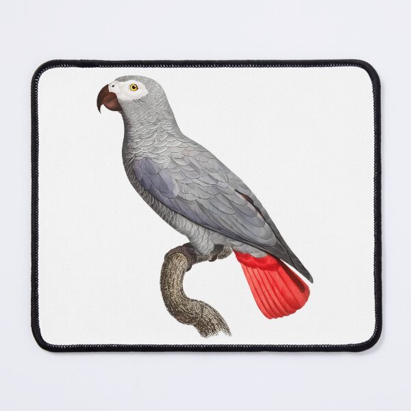 Item preview, Grey Parrot designed and sold by Swags.