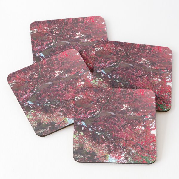 Item preview, Red Maple In Late Spring with Ripening Seeds  designed and sold by Amanda1775.