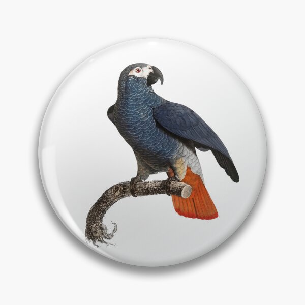 Item preview, African Grey Parrot designed and sold by Swags.