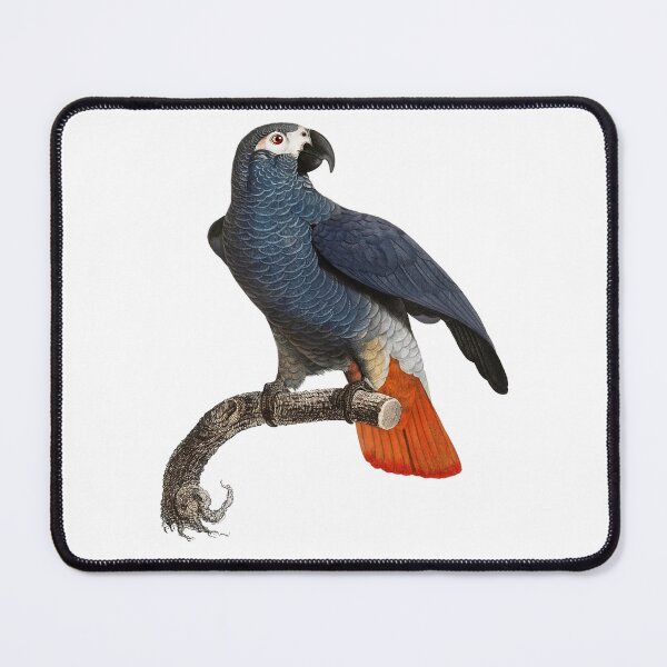 Item preview, African Grey Parrot designed and sold by Swags.