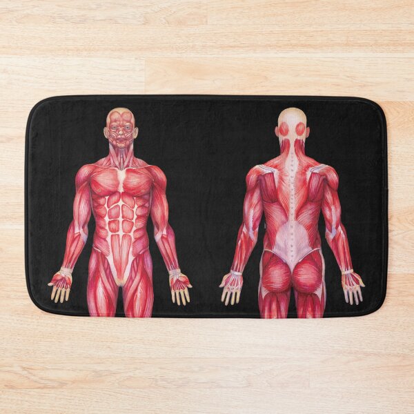 Item preview, Watercolor male muscular system designed and sold by Ekaterina Glazkova.